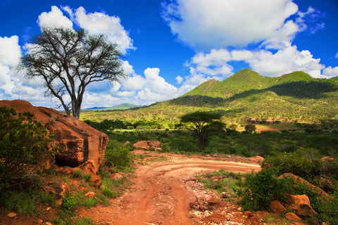 Rift Valley & Naivasha